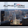 Alphashark – Elliott Wave Rules and Observations