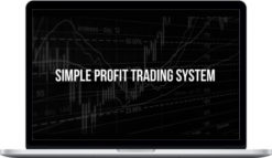 TheTradeAcademy – Simple Profit Trading System 2020