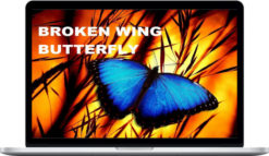 John Locke – Broken Wing Butterfly Master Track Series