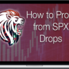 JamesTrader’s Trading Academy – How to PROFIT from the SPX Dump