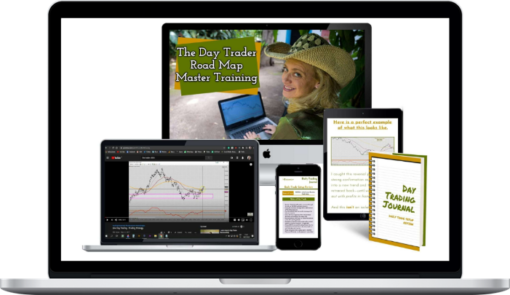 The Trader Chick – The Day Trader Road Map Master Training