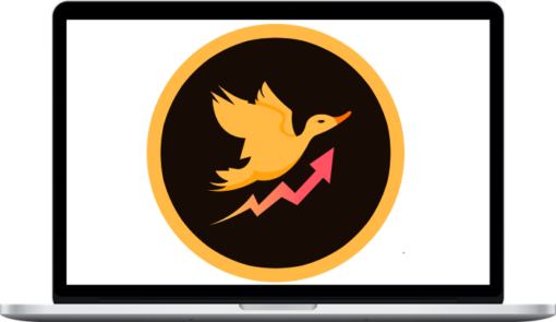 Duck Trading Empire – Duck Trading Course