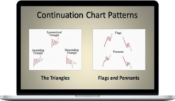 Master Trader – Master Trading Bull and Bear Flag Patterns