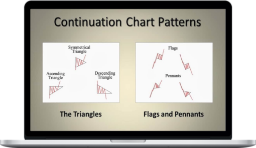 Master Trader – Master Trading Bull and Bear Flag Patterns