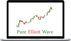 Lara Iriarte – Pure Elliott Wave Online Course