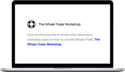 TheoTrade – Whale Trade Workshop
