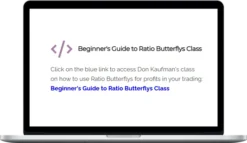 Theotrade – Beginner's Guide to Ratio Butterflys Class
