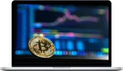 Virtual Real Estate Expert – Build a Diversified Crypto & Virtual Property Portfolio