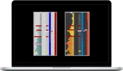 Sierraonshop Trading – Depth of Market Course
