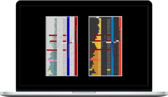 Sierraonshop Trading – Depth of Market Course